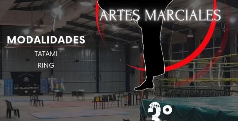 Torneo Abierto de Artes Marciales  por una nueva edición de la Copa «Ciudad de Olavarría»