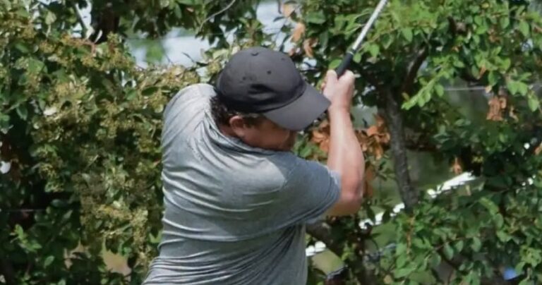 Novena fecha del Ranking en el golf albinegro